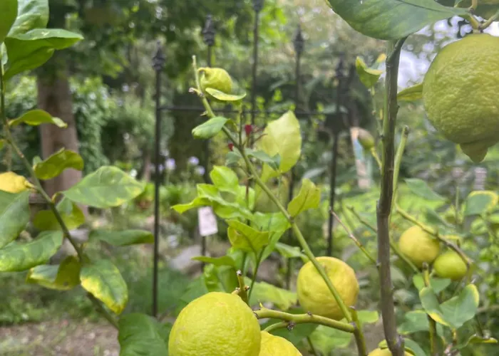 Weissenau * Ravensburg